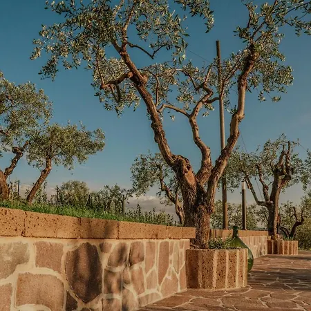 Bed & Breakfast L'otello *